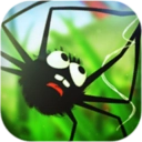 蜘蛛的冒险游戏