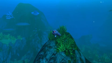 饥饿的鱼模拟器(1)