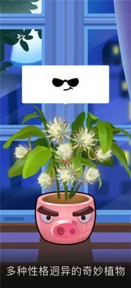 我有个花园红包福利版(1)