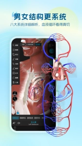 维萨里3d解剖手机免费版图2