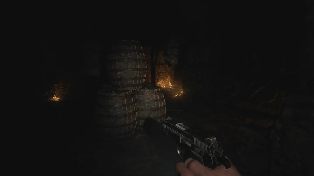 生化危机8村庄(1)