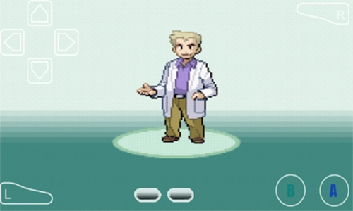 口袋妖怪叶绿版