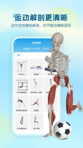 维萨里3d解剖手机免费版图4