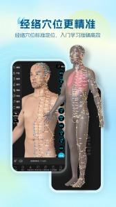 维萨里3d解剖手机免费版图5