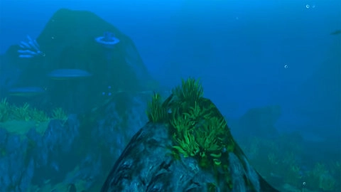 饥饿的鱼模拟器(3)