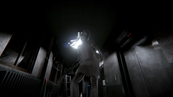 Araha延岛诅咒图4