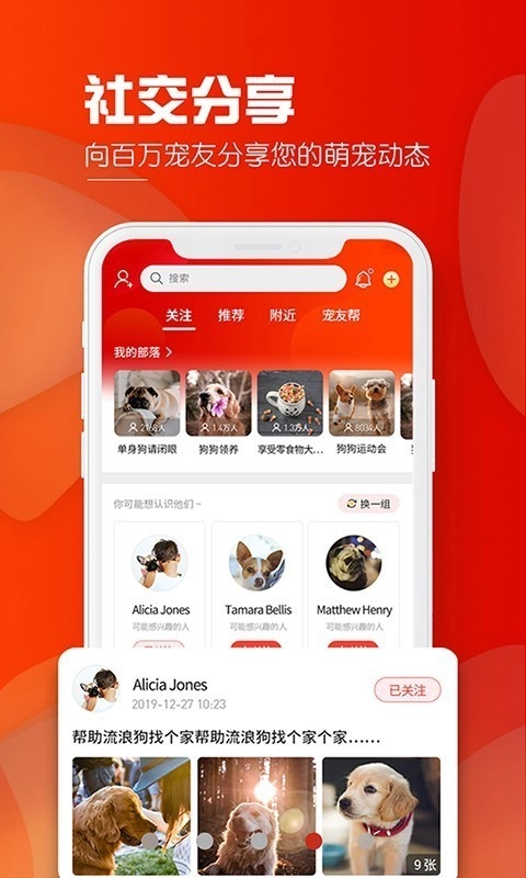 犬易安卓直装版图4