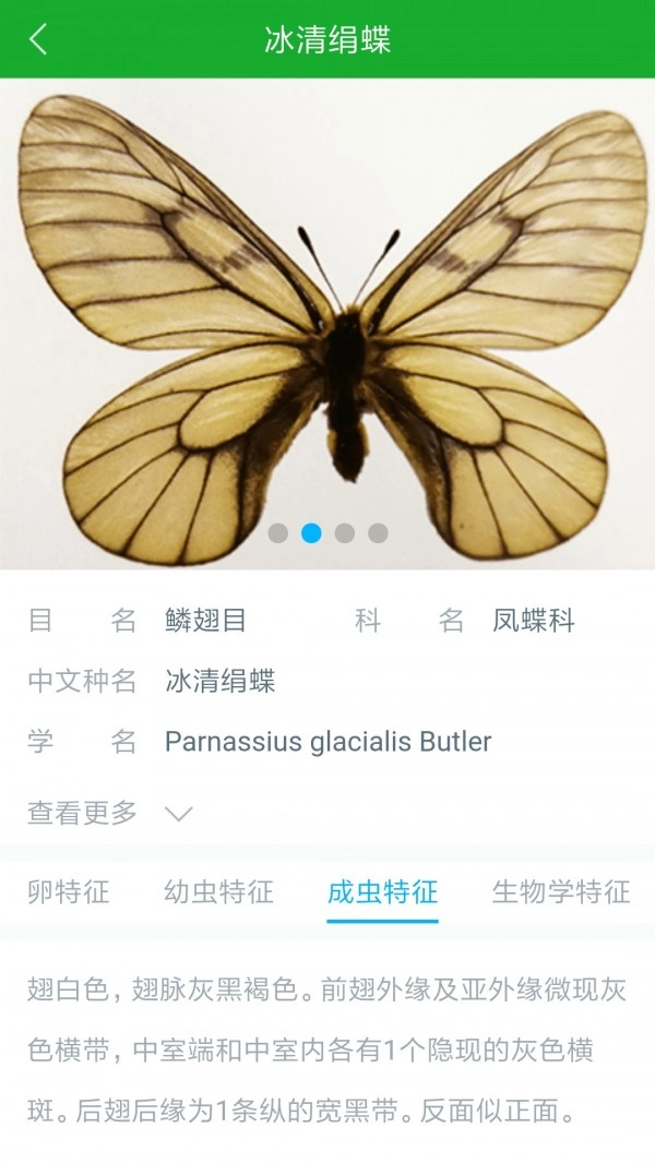虫警直装版图3