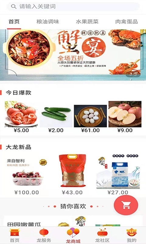 龙之家安卓免费版图2