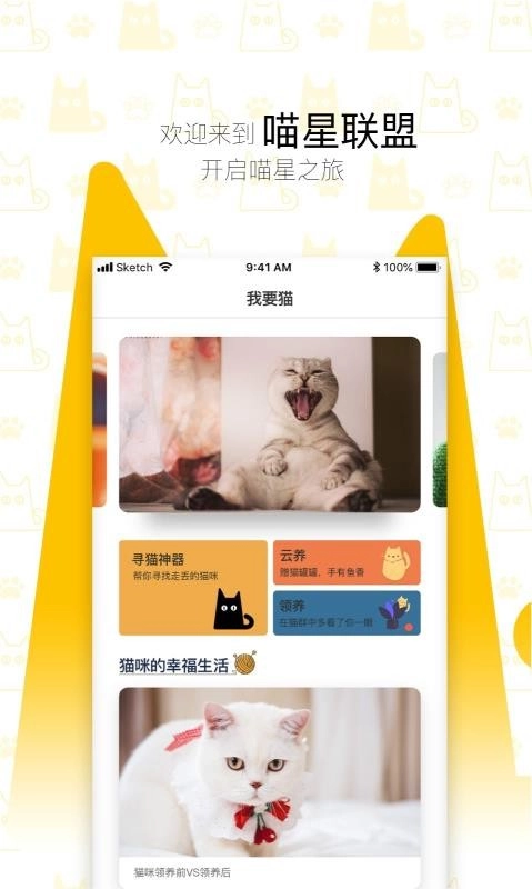 我要猫正版图1