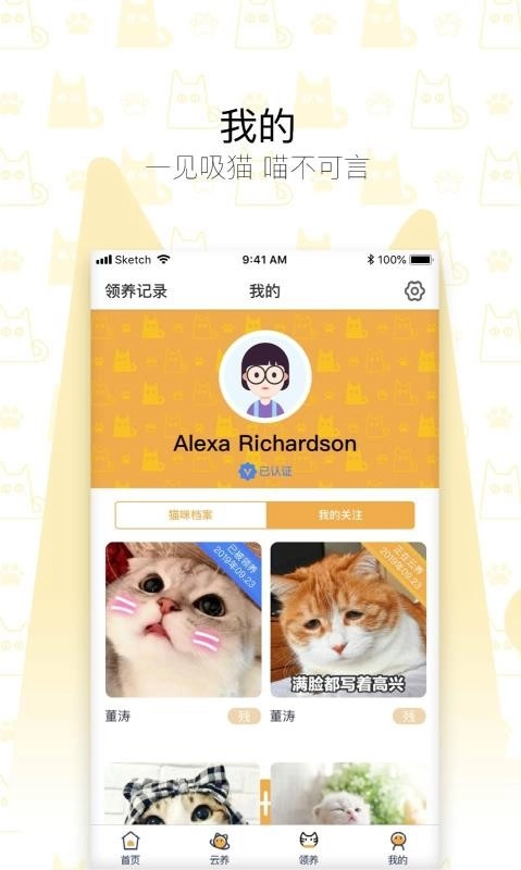 我要猫正版图2