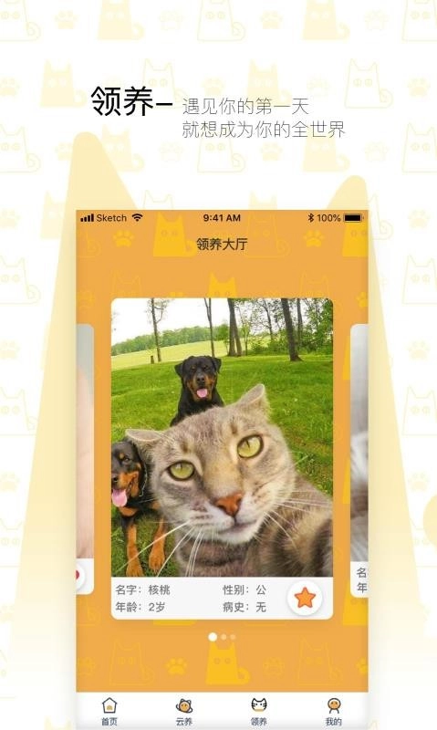 我要猫正版图3
