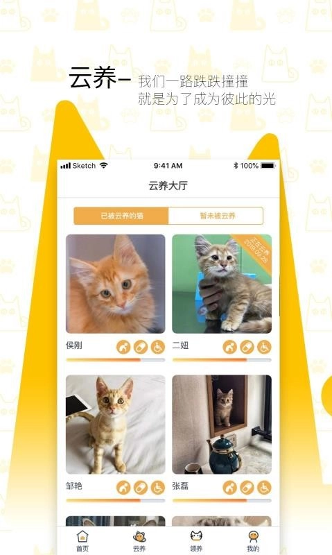 我要猫正版图4