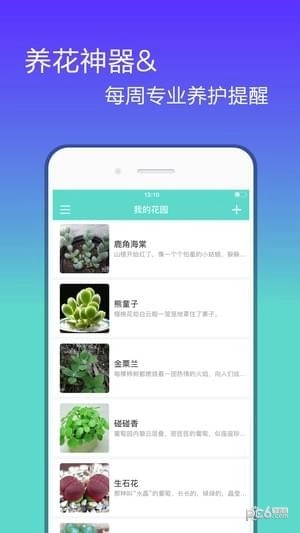 花信官网版下载