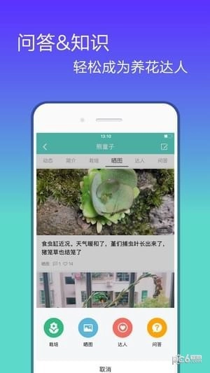 花信官网版下载