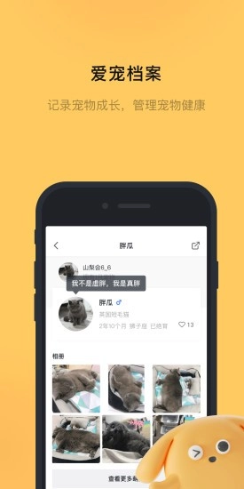 宠明无广告版图4
