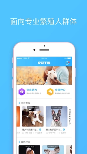 宠爱王国安装包下载