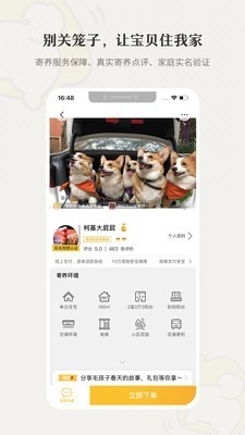 小狗在家原版图2