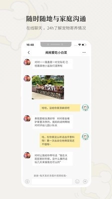 小狗在家原版图3