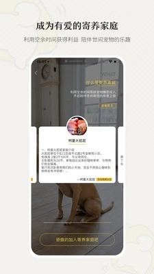 小狗在家原版图4