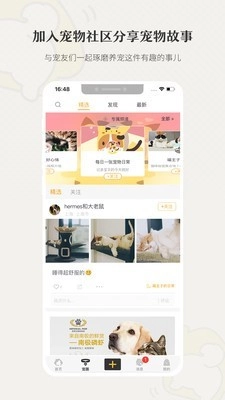 小狗在家原版图5