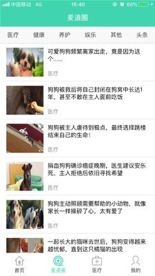 麦道官方最新版图2