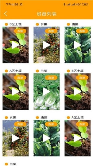 春天农场安卓直装版图3