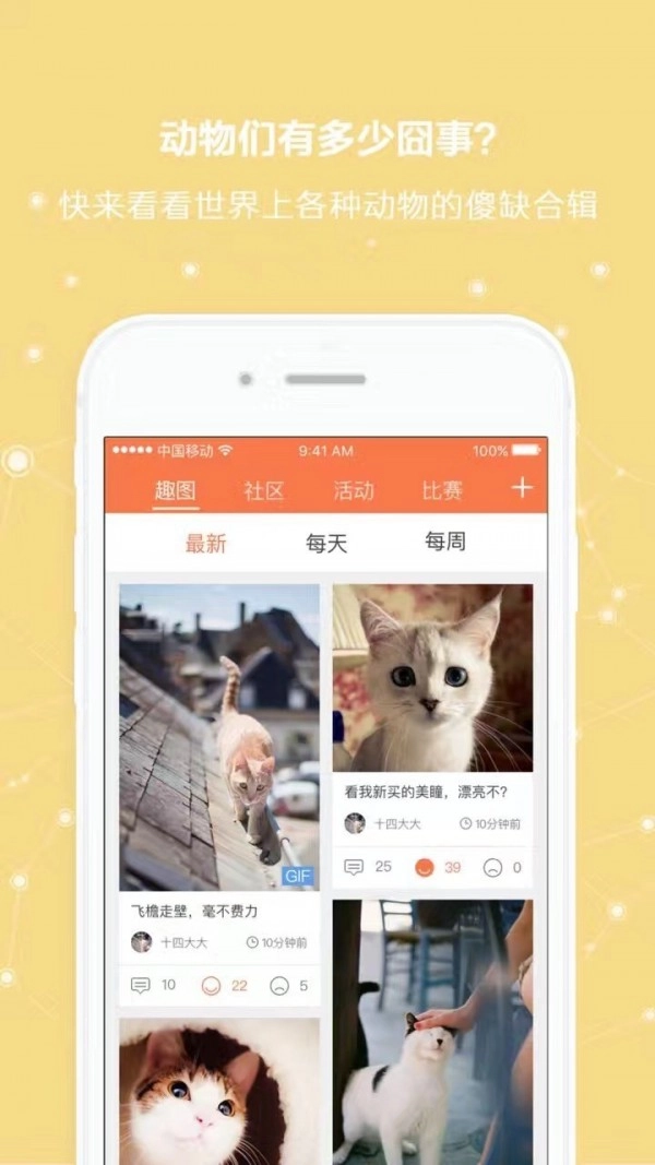 宠缘手机正版图2
