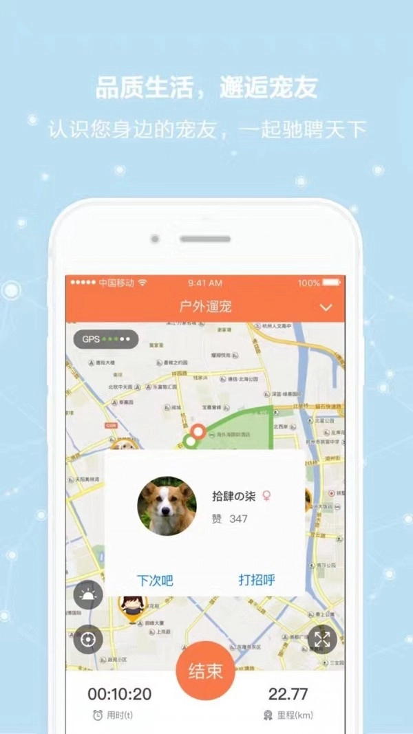 宠缘手机正版图4