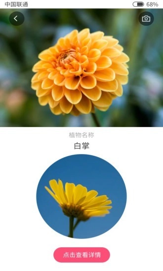 扫码识花通用版图4
