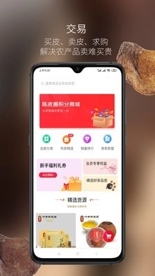 陈皮圈免费版图1