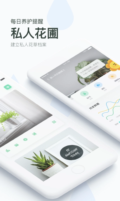 花将最新免费版图2