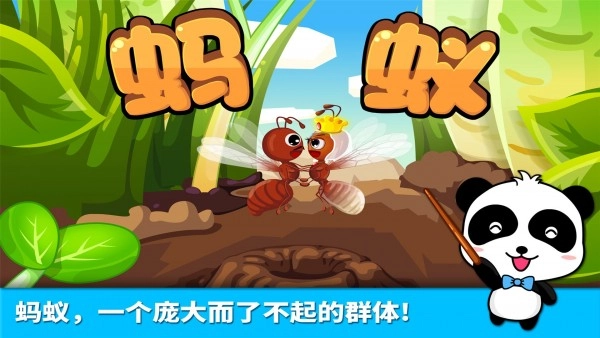 宝宝认蚂蚁无广告版图5