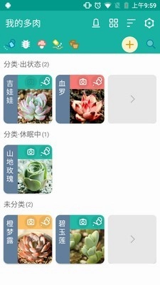 多肉成长记直装版图2