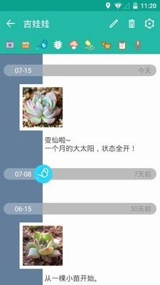多肉成长记直装版图3