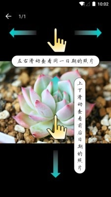 多肉成长记直装版图4