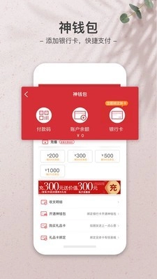 必胜客无广告版图5