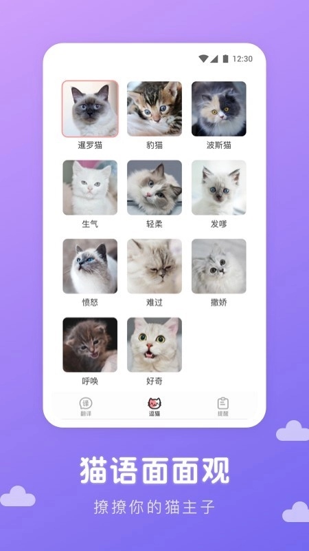 猫语翻译君手机免费版图2