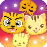 星猫广场官方版