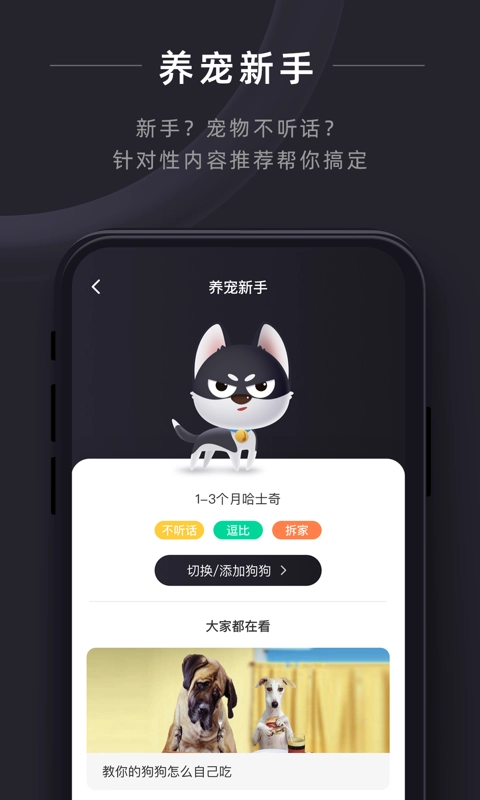 悠宠手机最新版图1