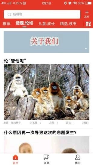 花开红官方版图1