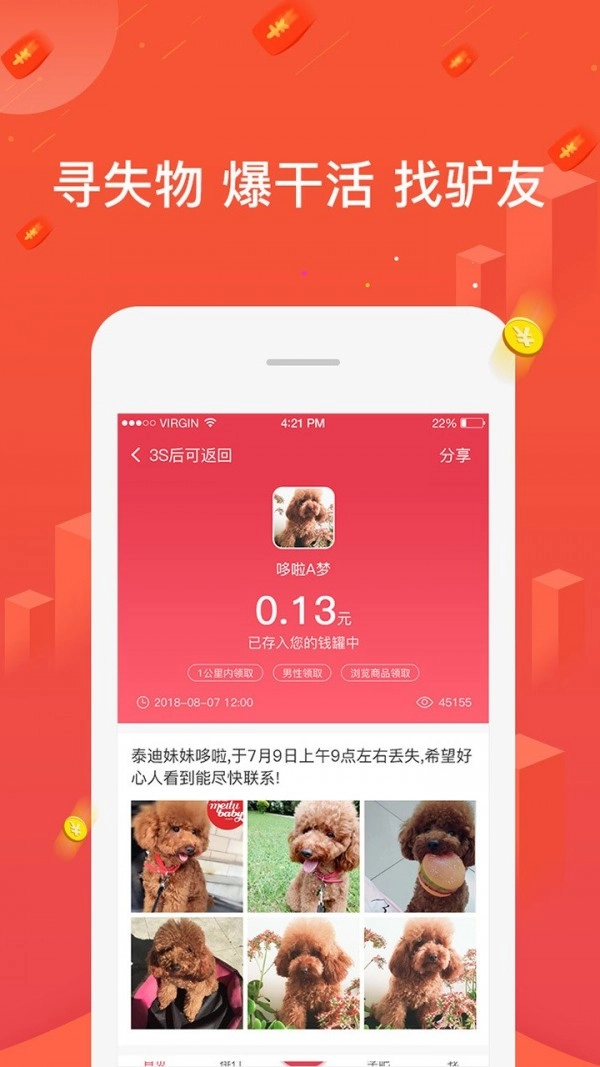 知猪正版图3