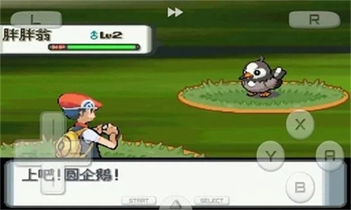 口袋妖怪珍珠钻石(1)