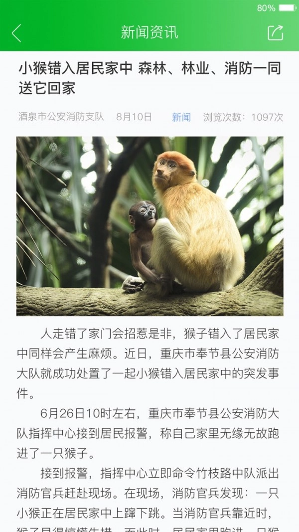 人人安全官方版图4