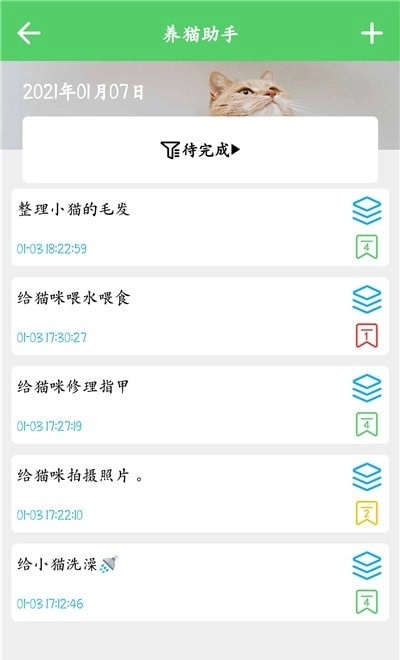 猫咪之家2