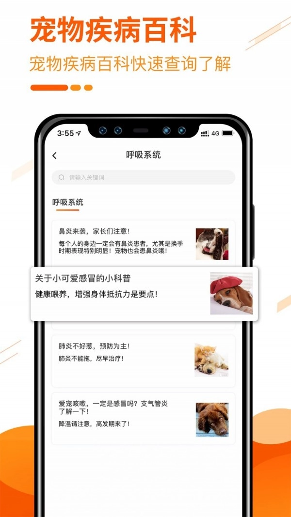 人人宠最新版图2