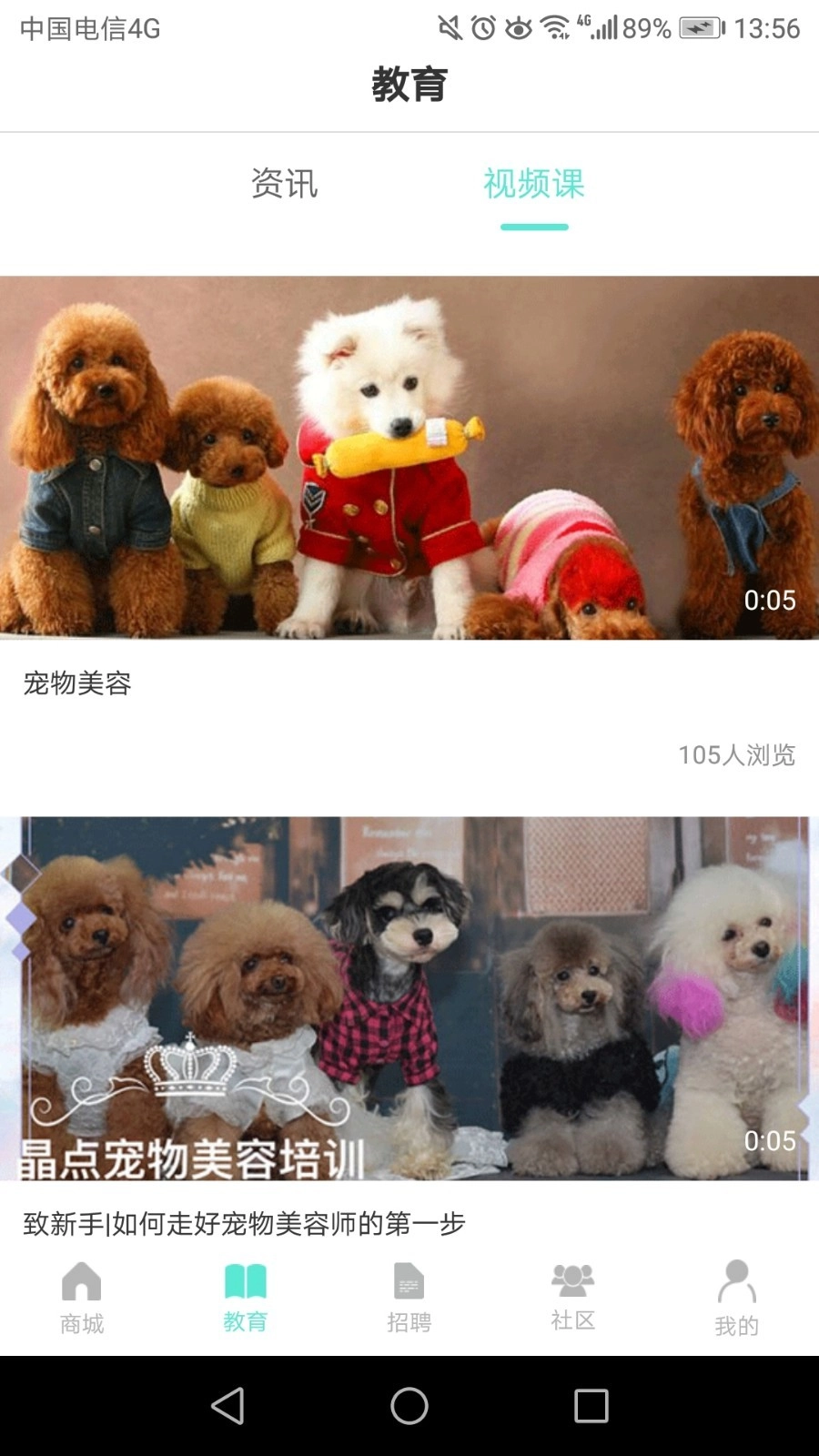 宠集宝安卓直装版图1