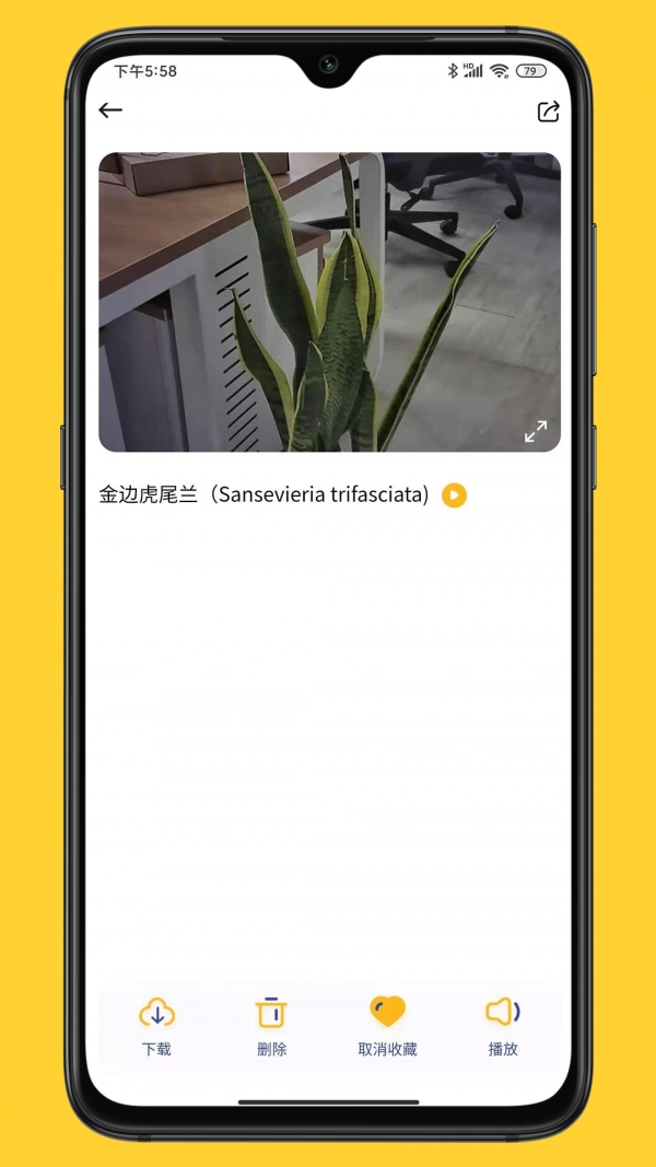 小mo乐园通用版图4