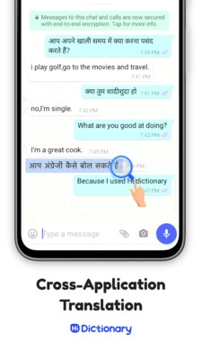 Hi Dictionary手机免费版图2