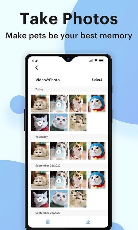 Pumpkii免费版图3